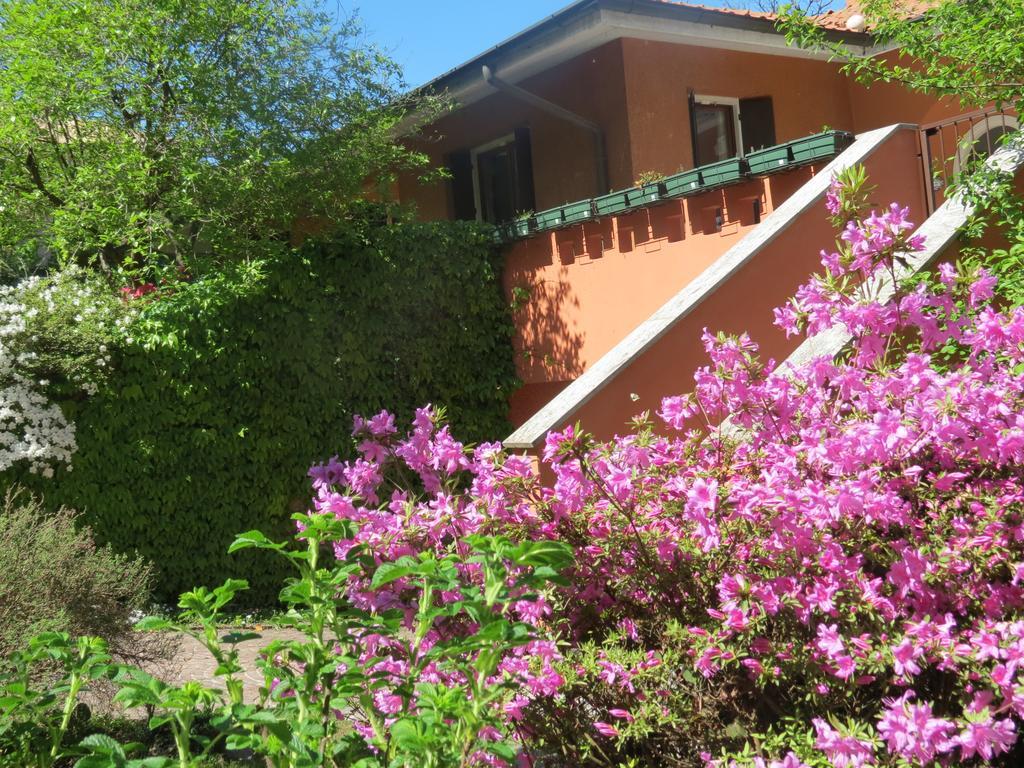 B&B Tana Della Volpe Ispra Zewnętrze zdjęcie